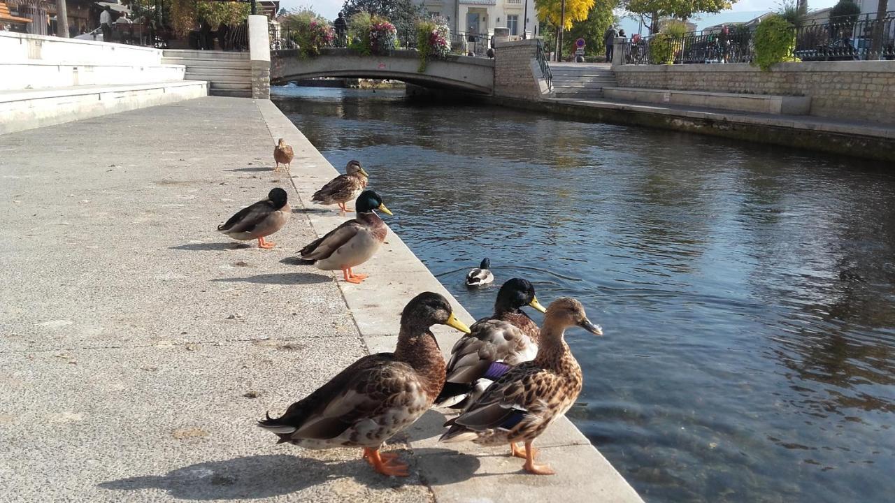 Sweet Provence Bis Lägenhet LʼIsle-sur-la-Sorgue Exteriör bild